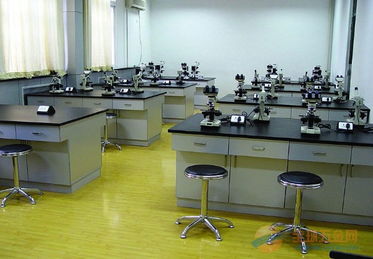 重庆实验室家具 实验室常用设备 实验室仪器台
